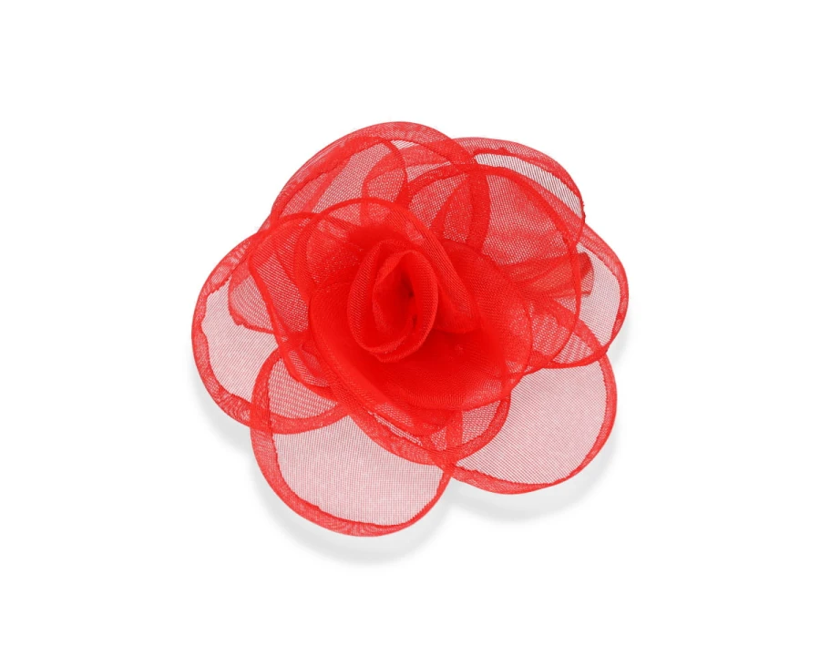 czerwony